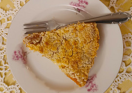 Švestkový (meruňkový) drobenkový koláč s pudinkovým tvarohem pro Fikinu