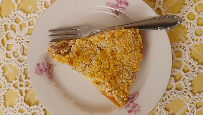 Švestkový (meruňkový) drobenkový koláč s pudinkovým tvarohem pro Fikinu