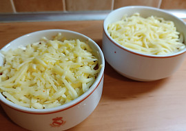 Sýrovo-rajčatová salsa s nachos