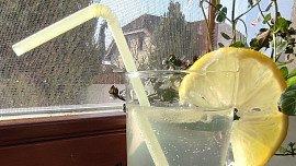 Bezovinea (Bezový drink s Vineou)