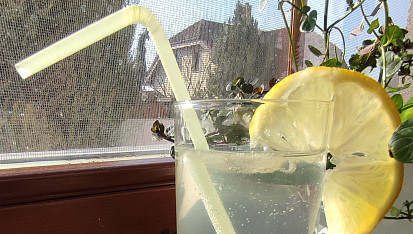 Bezovinea (Bezový drink s Vineou)