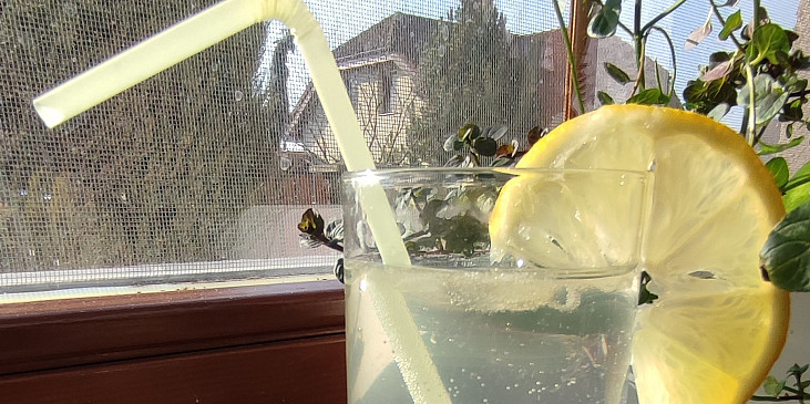 Bezovinea (Bezový drink s Vineou)