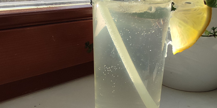 Bezovinea (Bezový drink s Vineou)