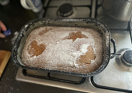 Nadýchaný hrnečkový perník