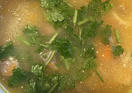 Zázvorová polévka (Zázvorová ♥️)