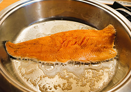 Citronový pstruh lososovitý