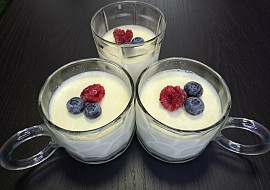 Panna cotta s čerstvým ovocem