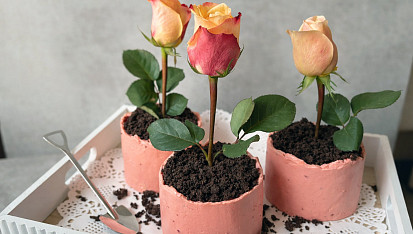 Pistáciové květináčky s malinami