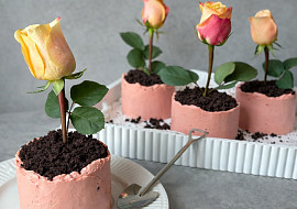 Pistáciové květináčky s malinami