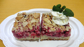 Rybízový koláč s podmáslím