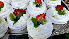 Mini Pavlovy podle Míši Landové