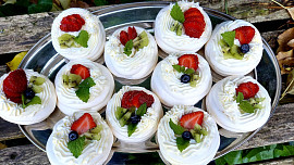 Mini Pavlovy podle Míši Landové