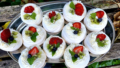 Mini Pavlovy podle Míši Landové