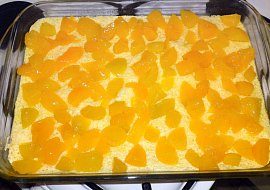 Bramborová bublanina s kompotovanými broskvemi