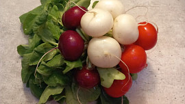 Salát z bílé ředkve s okurkou a ředkvičkami tří barev