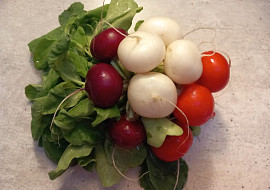 Salát z bílé ředkve s okurkou a ředkvičkami tří barev