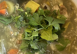 Pórková polévka II (Porkova ♥️)