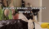 Biskupský beránek - opravdový biskupák