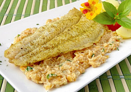 Treska s čočkovým ragú