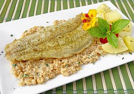 Treska s čočkovým ragú