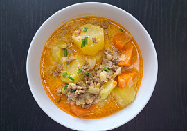 Polévka se zeleninou a mletým masem