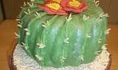 Dort kaktus