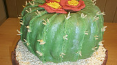 Dort kaktus