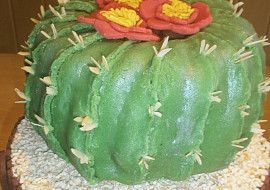 Dort kaktus