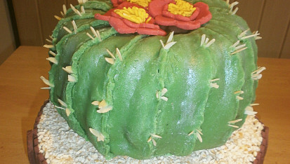 Dort kaktus