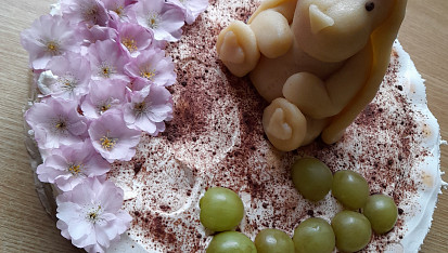 Nepečený piškotový dort s ovocem a zakysanou smetanou