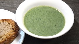 Krémová medvědí polévka