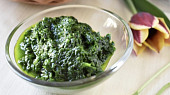 Pesto z medvědího česneku