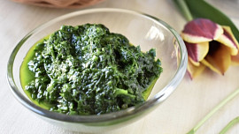 Pesto z medvědího česneku
