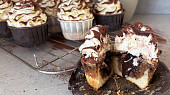 Tiramisu cupcakes