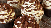 Tiramisu cupcakes