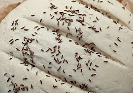 Pšenično-žitný domácí chlėb