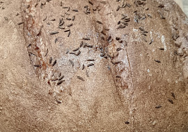 Pšenično-žitný domácí chlėb