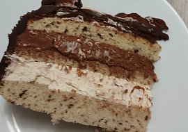 Vanilkovo-čokoládový dort