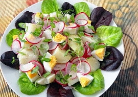 Lehký salát z brambor a ředkviček