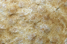 Nefotogenický, ale skvelý. Po uležaní servírujeme so šľahačkou.