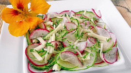 Ředkvičkovo-okurkový salát se sýrem