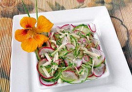 Ředkvičkovo-okurkový salát se sýrem