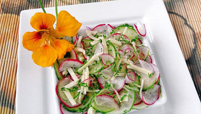 Ředkvičkovo-okurkový salát se sýrem