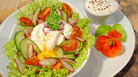 Jarní salát se zastřeným vejcem