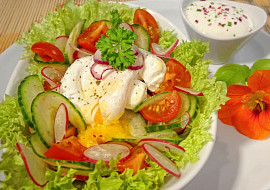 Jarní salát se zastřeným vejcem