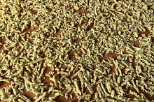 drobení s petrželkou