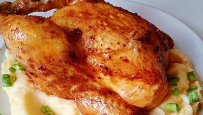 Baby kuřátko z horkovzdušné fritézy