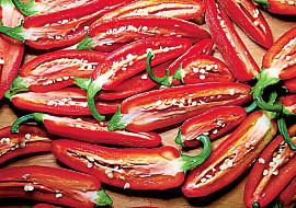 Jalapeňo poppers s čedarem