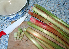 Šťavnatý koláč s rebarborou, tvarohem a drobenkou