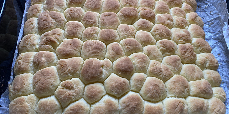 Buchtičky s krémem